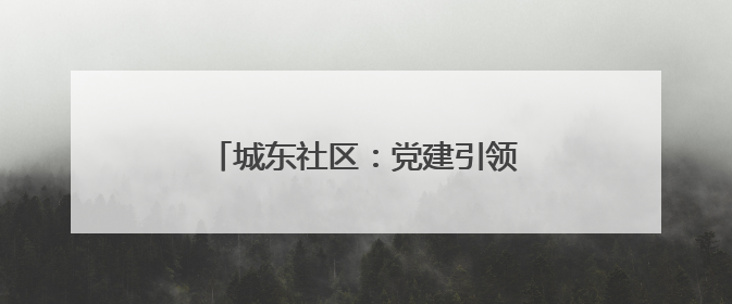 城东社区：党建引领绘就文明幸福画卷