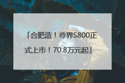 合肥造！尊界S800正式上市！70.8万元起