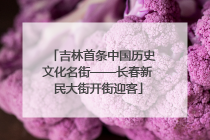 吉林首条中国历史文化名街——长春新民大街开街迎客