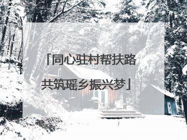 同心驻村帮扶路 共筑瑶乡振兴梦