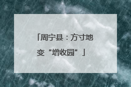周宁县：方寸地变“增收园”