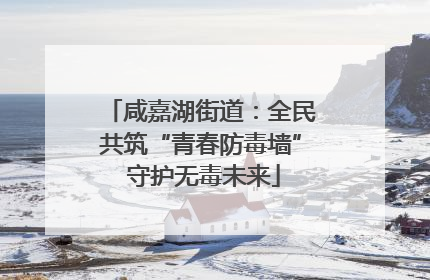 咸嘉湖街道：全民共筑“青春防毒墙” 守护无毒未来