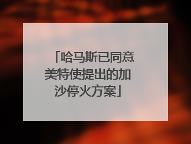 哈马斯已同意美特使提出的加沙停火方案