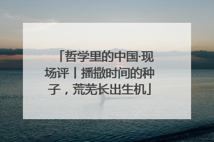 哲学里的中国·现场评丨播撒时间的种子，荒芜长出生机
