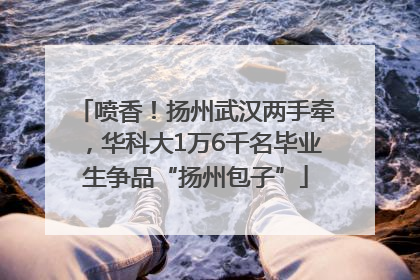 喷香！扬州武汉两手牵，华科大1万6千名毕业生争品“扬州包子”