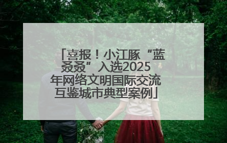 喜报！小江豚“蓝叒叒”入选2025年网络文明国际交流互鉴城市典型案例