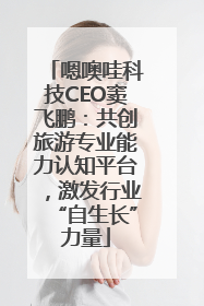 嗯噢哇科技CEO窦飞鹏：共创旅游专业能力认知平台，激发行业“自生长”力量