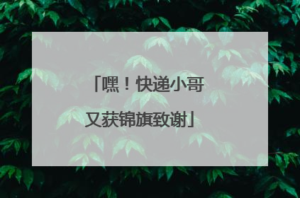 嘿！快递小哥又获锦旗致谢