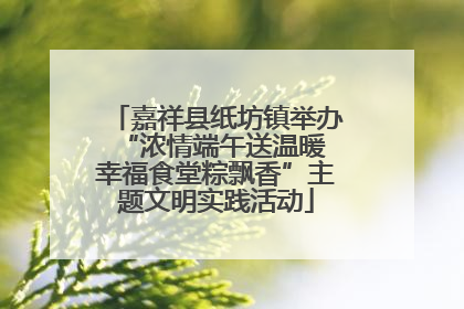 嘉祥县纸坊镇举办“浓情端午送温暖 幸福食堂粽飘香”主题文明实践活动