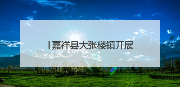 嘉祥县大张楼镇开展“童心六一季 粽香端午时”主题活动
