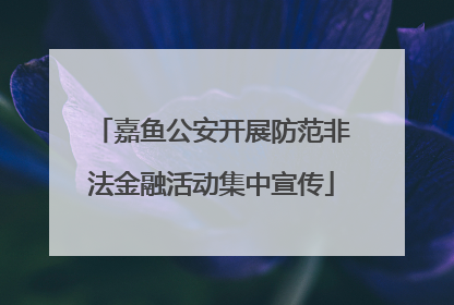 嘉鱼公安开展防范非法金融活动集中宣传