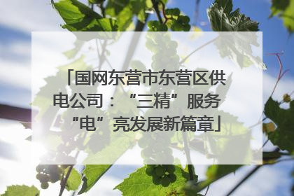 国网东营市东营区供电公司：“三精”服务“电”亮发展新篇章