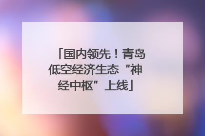 国内领先！青岛低空经济生态“神经中枢”上线