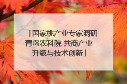 国家桃产业专家调研青岛农科院 共商产业升级与技术创新