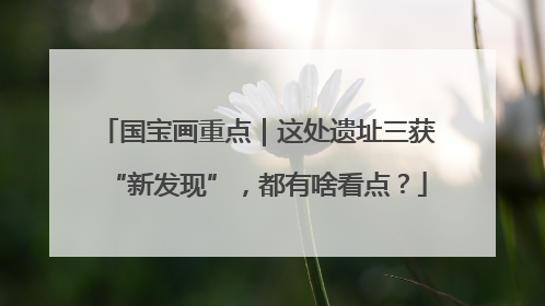 国宝画重点｜这处遗址三获“新发现”，都有啥看点？