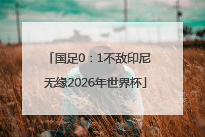 国足0：1不敌印尼 无缘2026年世界杯