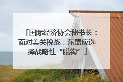 国际经济协会秘书长：面对美关税战，东盟应选择战略性“脱钩”