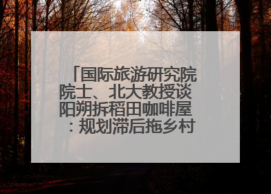 国际旅游研究院院士、北大教授谈阳朔拆稻田咖啡屋：规划滞后拖乡村振兴后腿