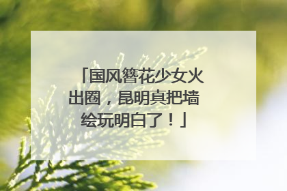 国风簪花少女火出圈，昆明真把墙绘玩明白了！