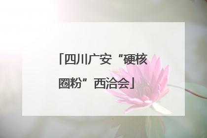 四川广安“硬核圈粉”西洽会