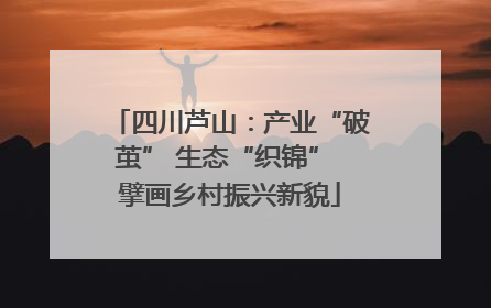 四川芦山：产业“破茧” 生态“织锦” 擘画乡村振兴新貌
