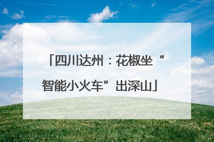 四川达州：花椒坐“智能小火车”出深山