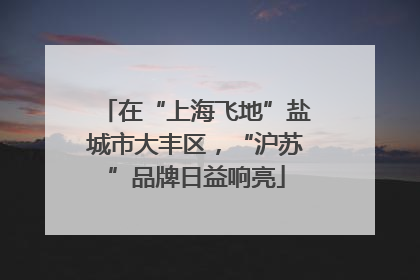 在“上海飞地”盐城市大丰区，“沪苏”品牌日益响亮