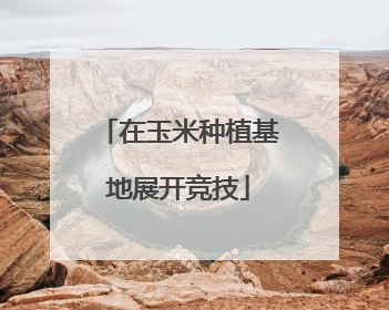 在玉米种植基地展开竞技
