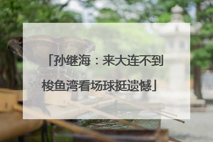 孙继海：来大连不到梭鱼湾看场球挺遗憾