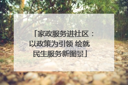 家政服务进社区：以政策为引领 绘就民生服务新图景