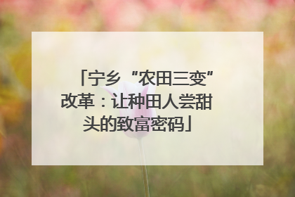 宁乡“农田三变”改革：让种田人尝甜头的致富密码