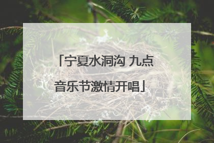 宁夏水洞沟 九点音乐节激情开唱