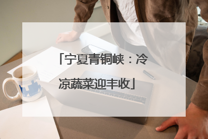 宁夏青铜峡：冷凉蔬菜迎丰收