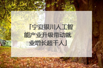 宁夏银川人工智能产业升级带动就业增长超千人