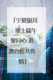 宁夏银川：塞上端午聚同心 港澳台侨共传情