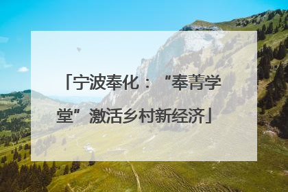 宁波奉化：“奉菁学堂”激活乡村新经济