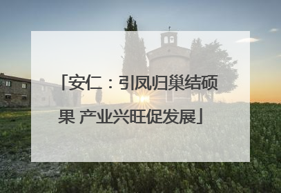安仁：引凤归巢结硕果 产业兴旺促发展
