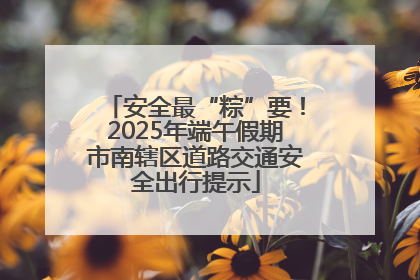 安全最“粽”要！2025年端午假期市南辖区道路交通安全出行提示