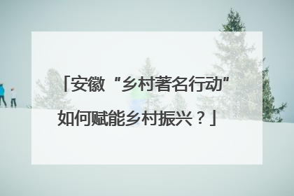 安徽“乡村著名行动”如何赋能乡村振兴？