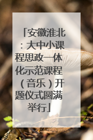 安徽淮北：大中小课程思政一体化示范课程（音乐）开题仪式圆满举行