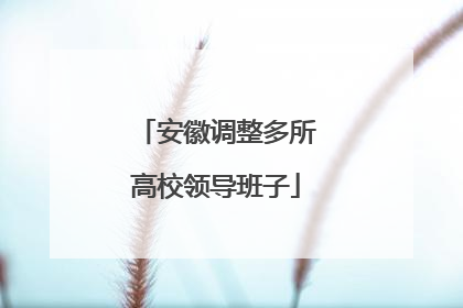 安徽调整多所高校领导班子