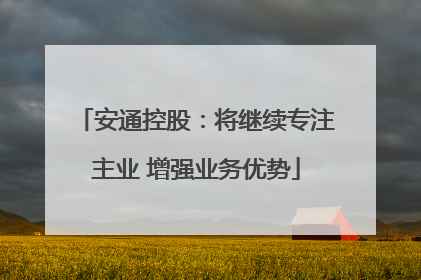 安通控股：将继续专注主业 增强业务优势