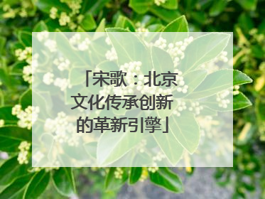 宋歌：北京文化传承创新的革新引擎