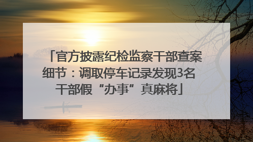 官方披露纪检监察干部查案细节：调取停车记录发现3名干部假“办事”真麻将
