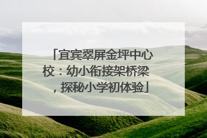 宜宾翠屏金坪中心校：幼小衔接架桥梁，探秘小学初体验