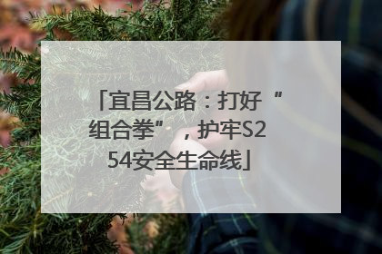 宜昌公路：打好“组合拳”，护牢S254安全生命线