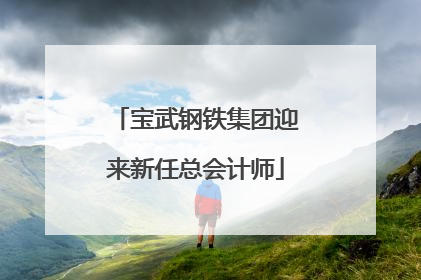 宝武钢铁集团迎来新任总会计师