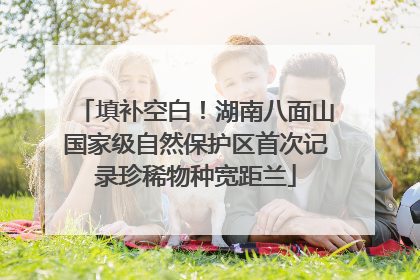 填补空白！湖南八面山国家级自然保护区首次记录珍稀物种宽距兰