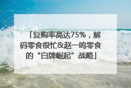 复购率高达75%，解码零食很忙&赵一鸣零食的“白牌崛起”战略
