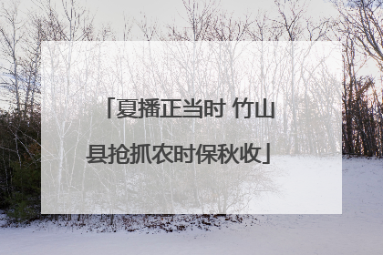 夏播正当时 竹山县抢抓农时保秋收